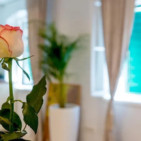 Charming Old Town Pjaca *