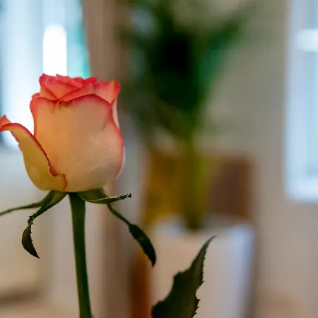 Charming Old Town Pjaca Διαμέρισμα