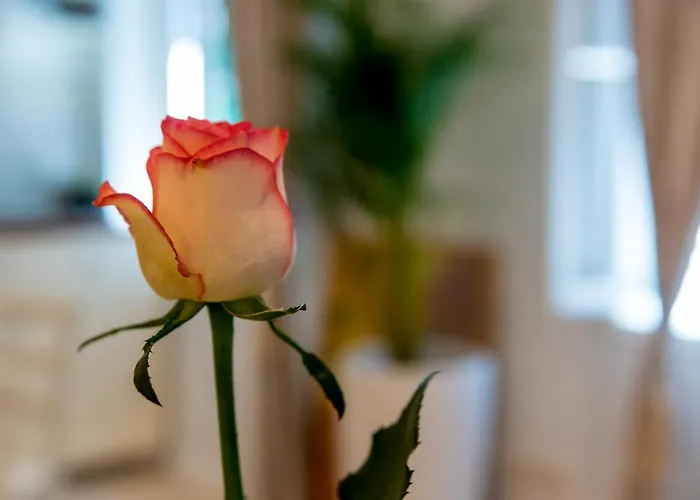 Charming Old Town Pjaca Διαμέρισμα