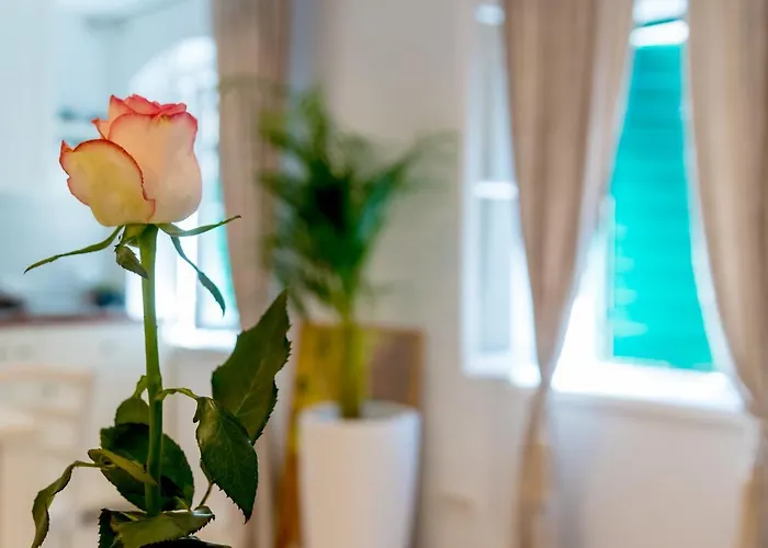 Charming Old Town Pjaca *